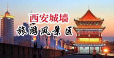 鸡巴好大啊啊啊啊啊啊啊啊好爽啊视频中国陕西-西安城墙旅游风景区